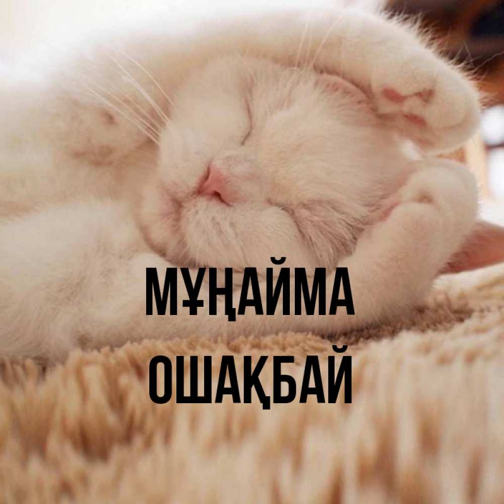 Күн сайын ашық хат с именем, ОШАҚБАЙ Мұңайма Котенок спит Онлайн тегін жүктеп алу тілектері бар керемет карта 