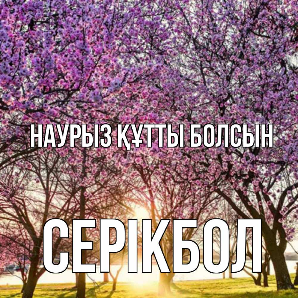 Күн сайын ашық хат с именем, СЕРІКБОЛ Наурыз құтты болсын наурыз Онлайн тегін жүктеп алу тілектері бар керемет карта 