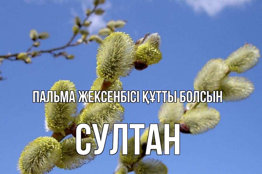Күн сайын ашық хат с именем, Султан Пальма жексенбісі құтты болсын верба Онлайн тегін жүктеп алу тілектері бар керемет карта 