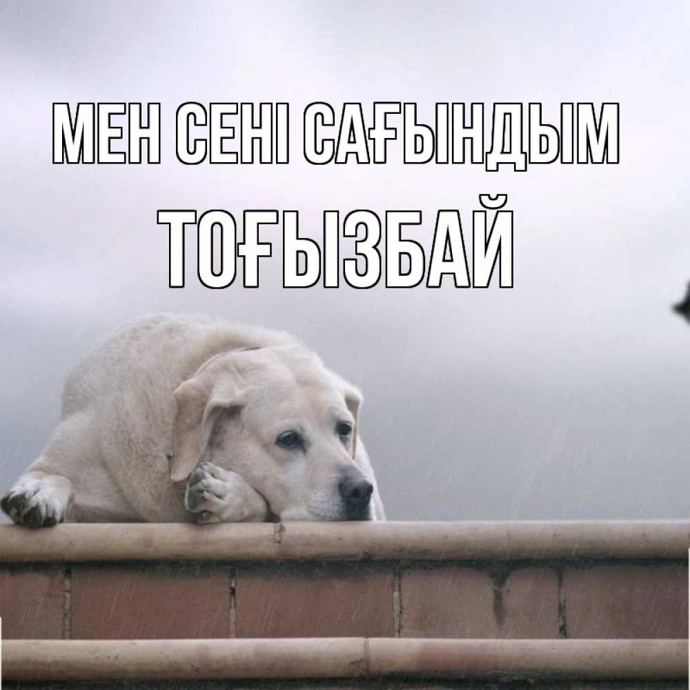 Күн сайын ашық хат с именем, ТОҒЫЗБАЙ Мен сені сағындым ждет Онлайн тегін жүктеп алу тілектері бар керемет карта 