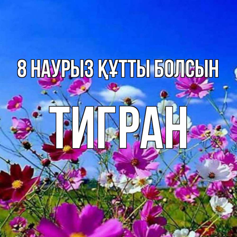 Күн сайын ашық хат с именем, Тигран 8 наурыз құтты болсын цветы Онлайн тегін жүктеп алу тілектері бар керемет карта 