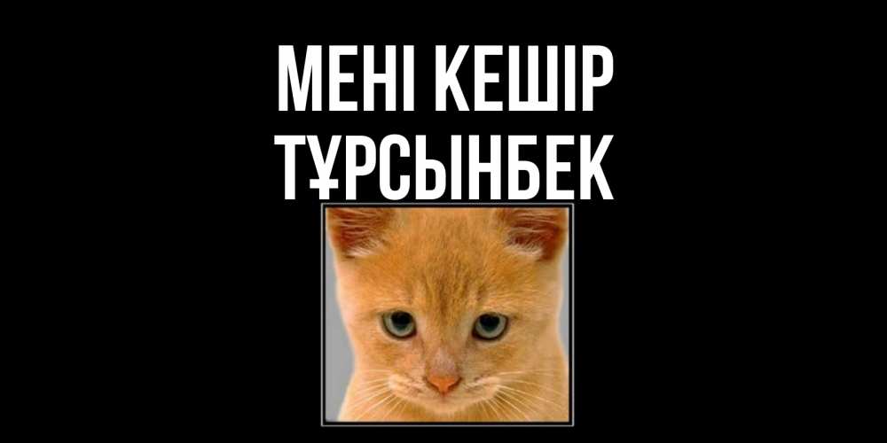 Күн сайын ашық хат с именем, ТҰРСЫНБЕК Мені кешір рыжий грустный кот просит прощения Онлайн тегін жүктеп алу тілектері бар керемет карта 