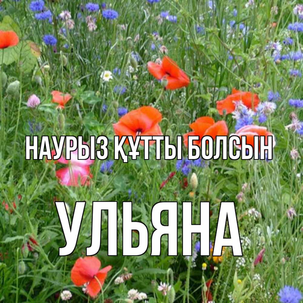 Күн сайын ашық хат с именем, Ульяна Наурыз құтты болсын наурыз  4 Онлайн тегін жүктеп алу тілектері бар керемет карта 