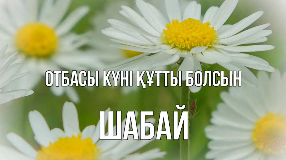 Күн сайын ашық хат с именем, ШАБАЙ отбасы күні құтты болсын с днем семьи  1 Онлайн тегін жүктеп алу тілектері бар керемет карта 
