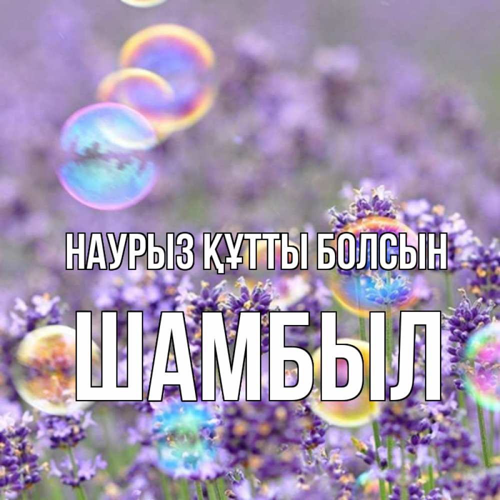 Күн сайын ашық хат с именем, ШАМБЫЛ Наурыз құтты болсын цветы Онлайн тегін жүктеп алу тілектері бар керемет карта 