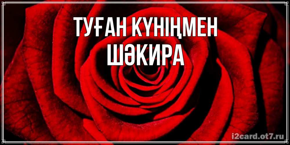 Күн сайын ашық хат с именем, ШӘКИРА Туған күніңмен алая роза Онлайн тегін жүктеп алу тілектері бар керемет карта 