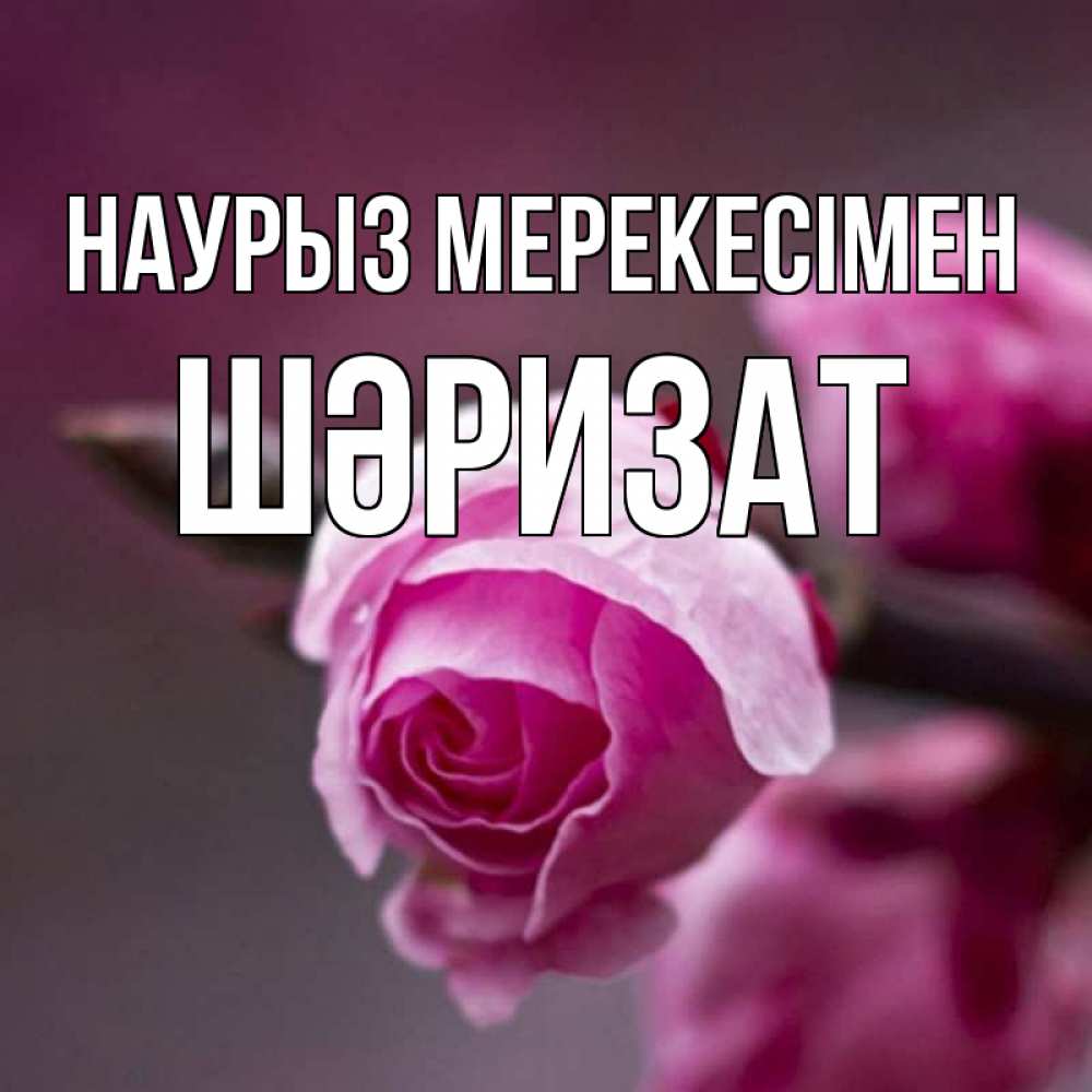 Күн сайын ашық хат с именем, ШӘРИЗАТ Наурыз мерекесімен весна Онлайн тегін жүктеп алу тілектері бар керемет карта 
