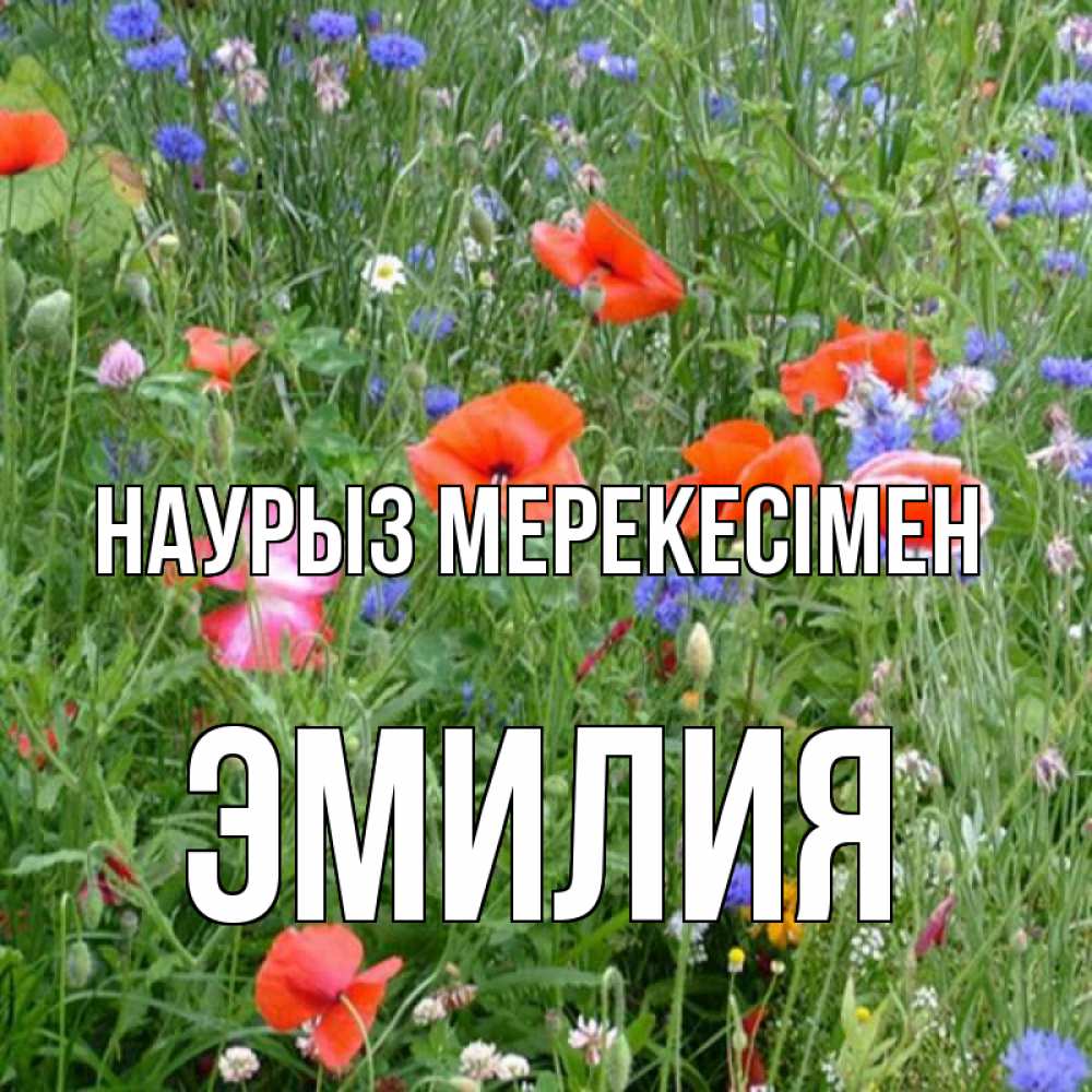 Күн сайын ашық хат с именем, Эмилия Наурыз мерекесімен праздник весны наурыз супер открытка Онлайн тегін жүктеп алу тілектері бар керемет карта 