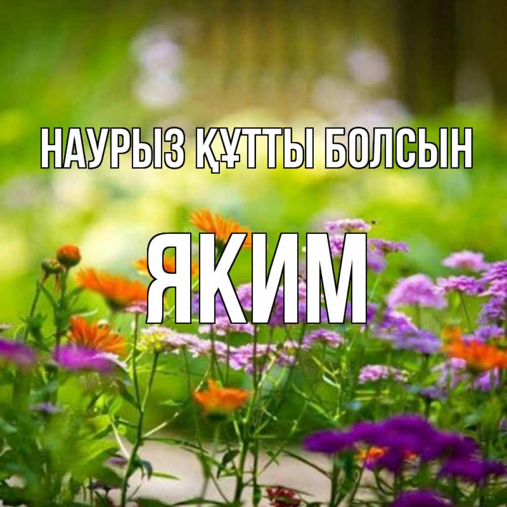 Күн сайын ашық хат с именем, Яким Наурыз құтты болсын цветы Онлайн тегін жүктеп алу тілектері бар керемет карта 
