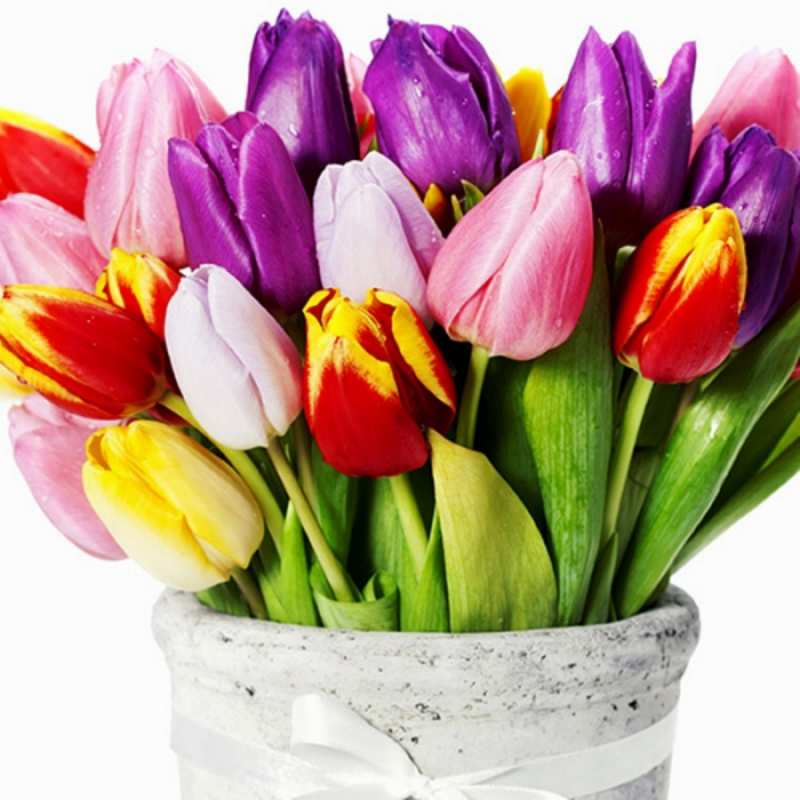 Открытка тюльпаны в вазе  букет  8 наурыз құтты болсын 