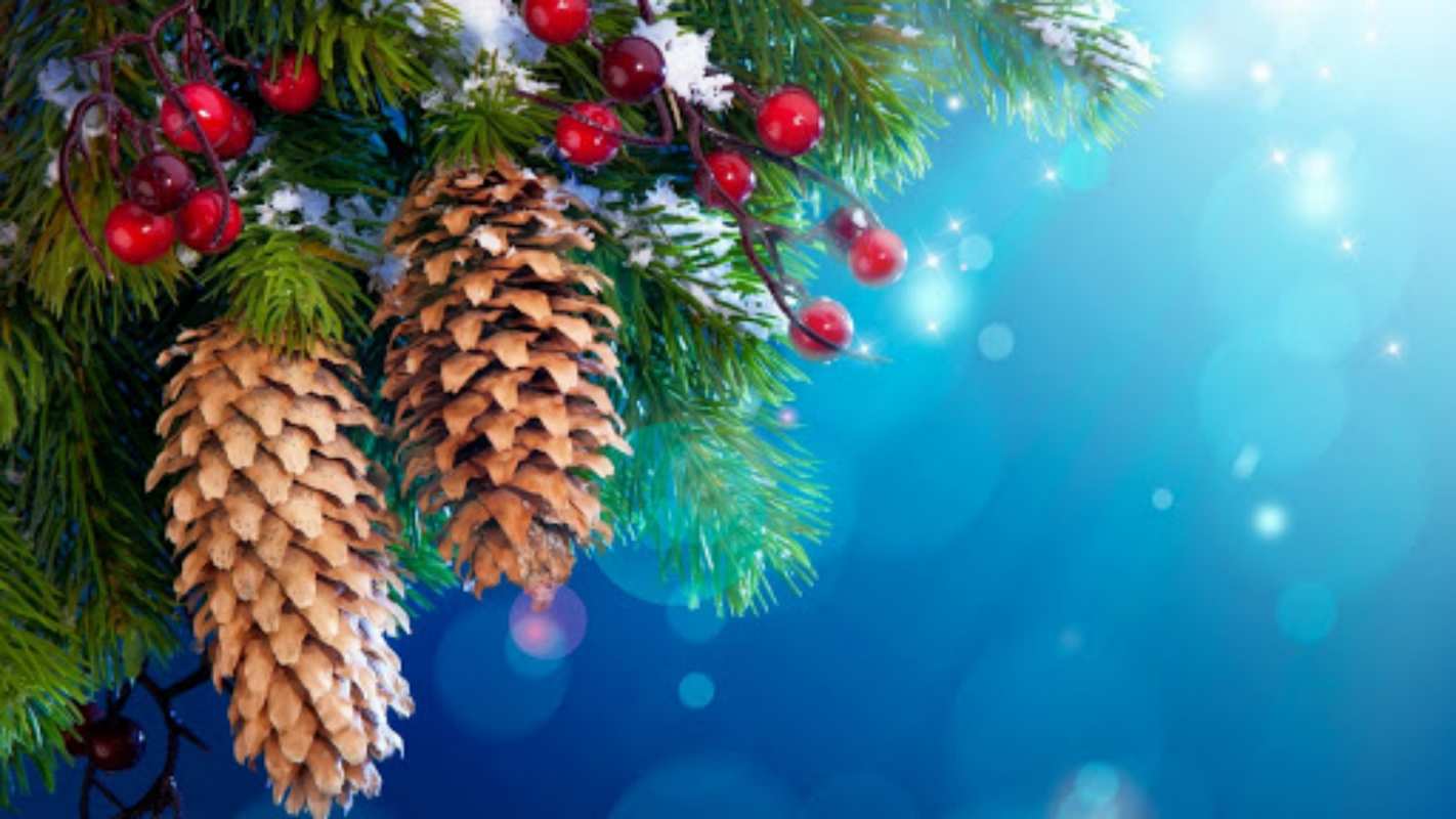 Открытка Елка и шишки с рябиной  Новый год, ель, шишки  Жаңа жылыңызбен 