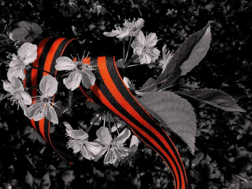 Открытка лента и цветы яблони  9 мая  9 мамырдан бастап 