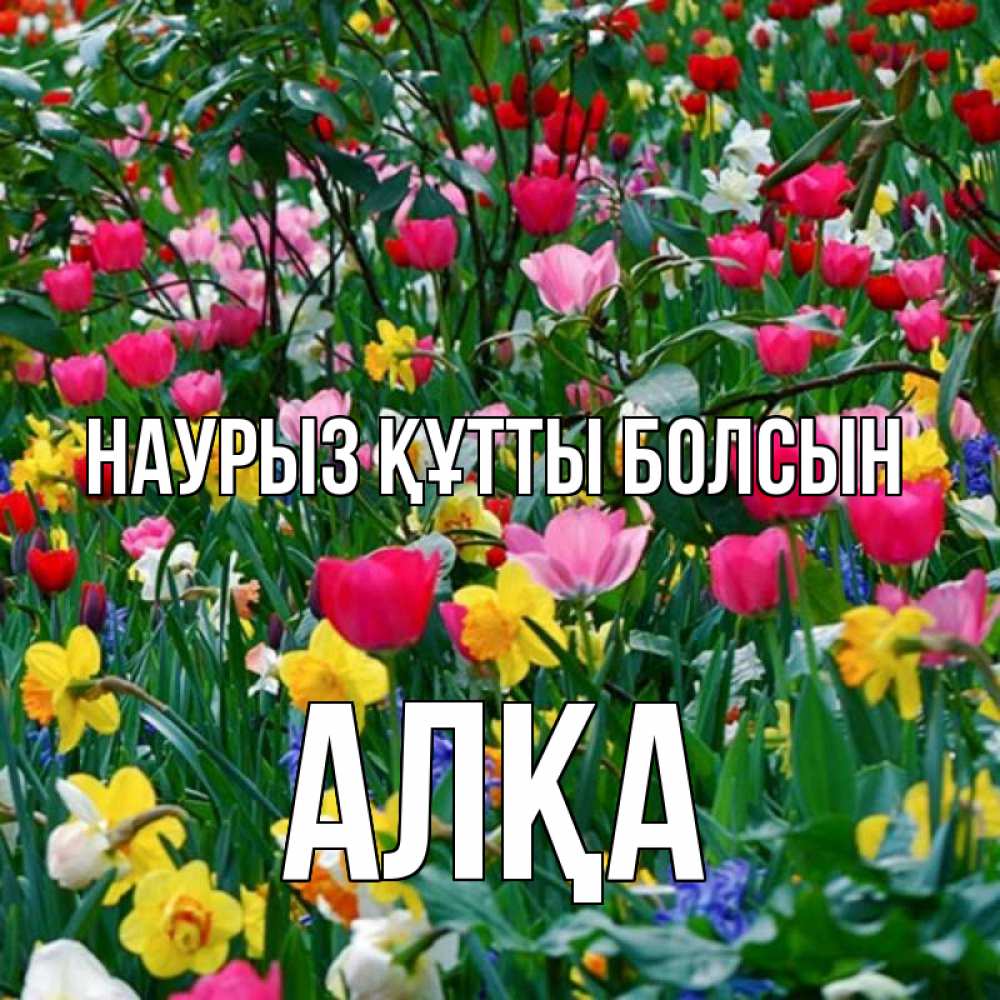 Күн сайын ашық хат с именем, Алқа Наурыз құтты болсын с наурызом поздравления для женщины Онлайн тегін жүктеп алу тілектері бар керемет карта 