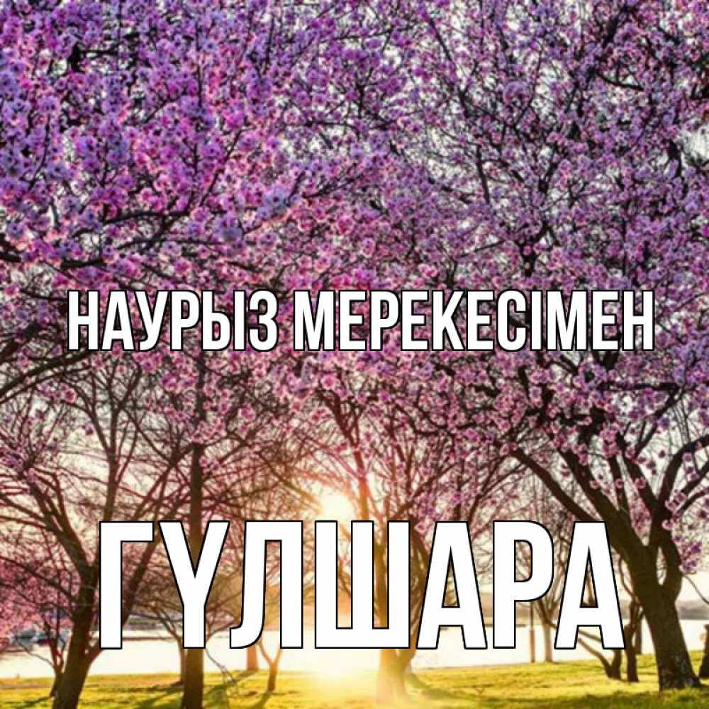 Күн сайын ашық хат с именем, ГҮЛШАРА Наурыз мерекесімен праздник весны наурыз Онлайн тегін жүктеп алу тілектері бар керемет карта 