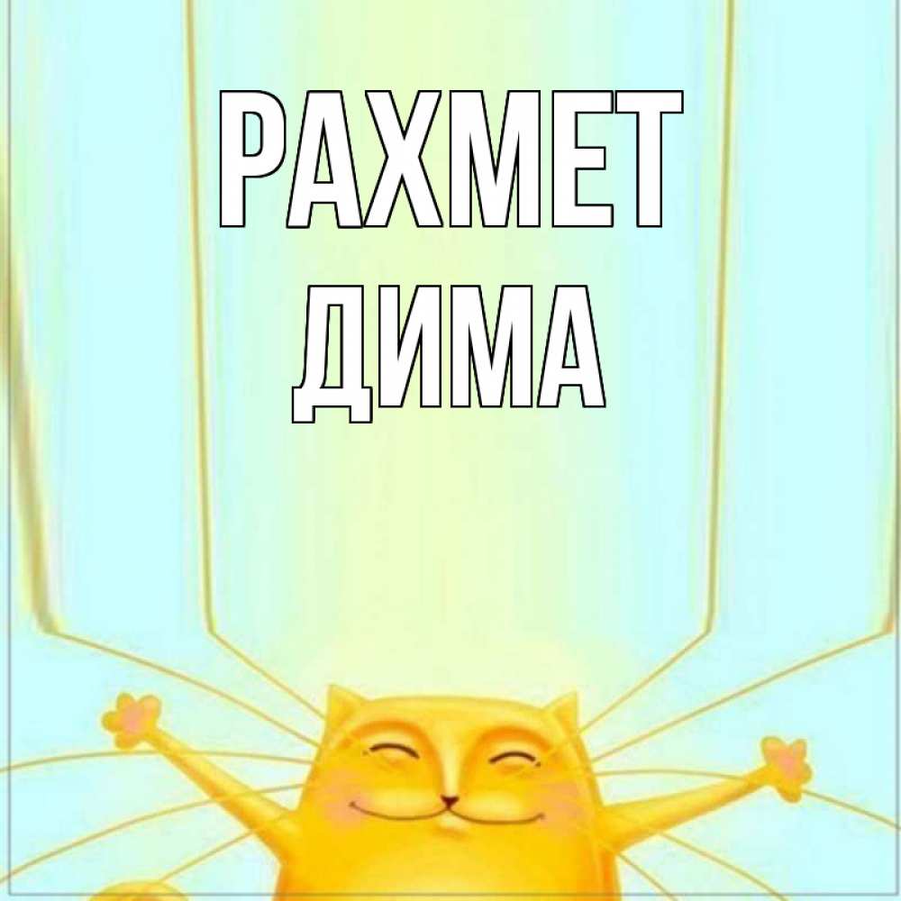 Күн сайын ашық хат с именем, Дима рахмет кот с усами благодарит Онлайн тегін жүктеп алу тілектері бар керемет карта 