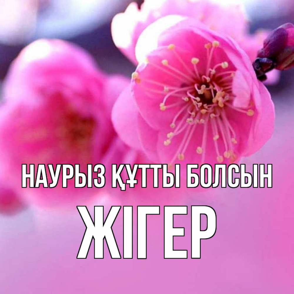 Күн сайын ашық хат с именем, Жігер Наурыз құтты болсын наурыз мейрам Онлайн тегін жүктеп алу тілектері бар керемет карта 