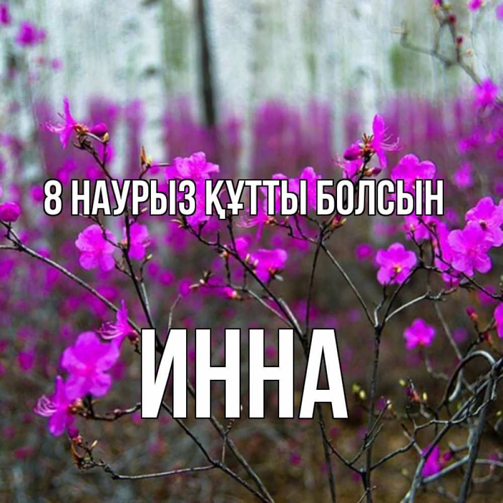 Күн сайын ашық хат с именем, Инна 8 наурыз құтты болсын дикие цветы Онлайн тегін жүктеп алу тілектері бар керемет карта 