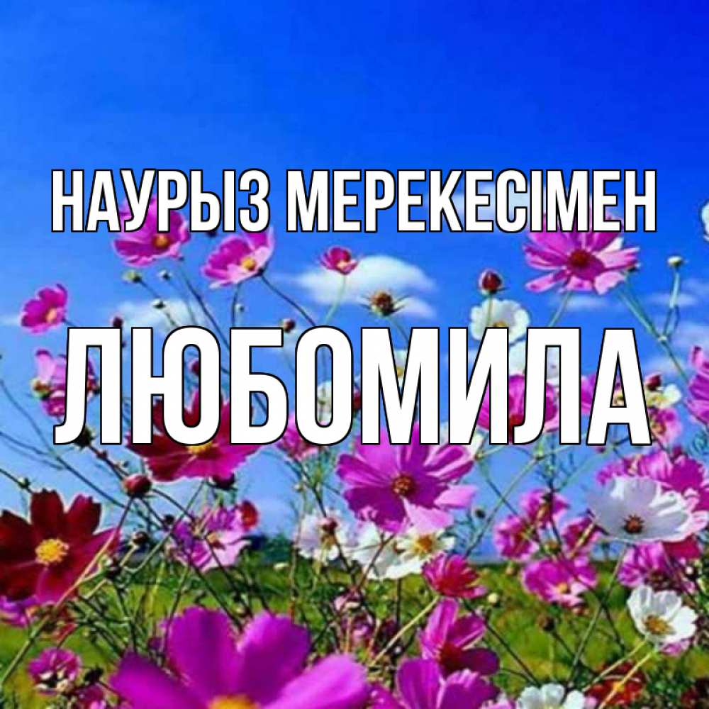 Күн сайын ашық хат с именем, Любомила Наурыз мерекесімен цветы Онлайн тегін жүктеп алу тілектері бар керемет карта 