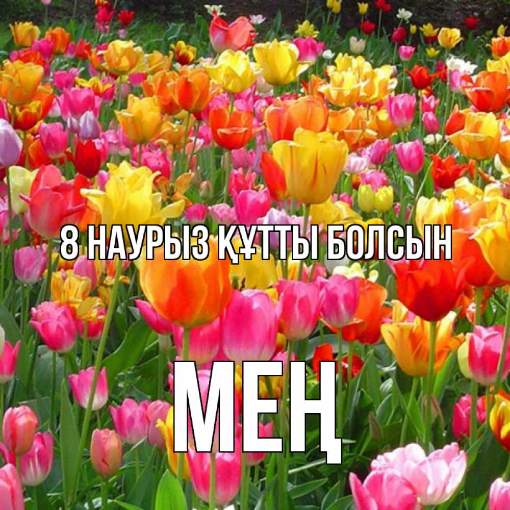 Күн сайын ашық хат с именем, МЕҢ 8 наурыз құтты болсын на международный женский день Онлайн тегін жүктеп алу тілектері бар керемет карта 