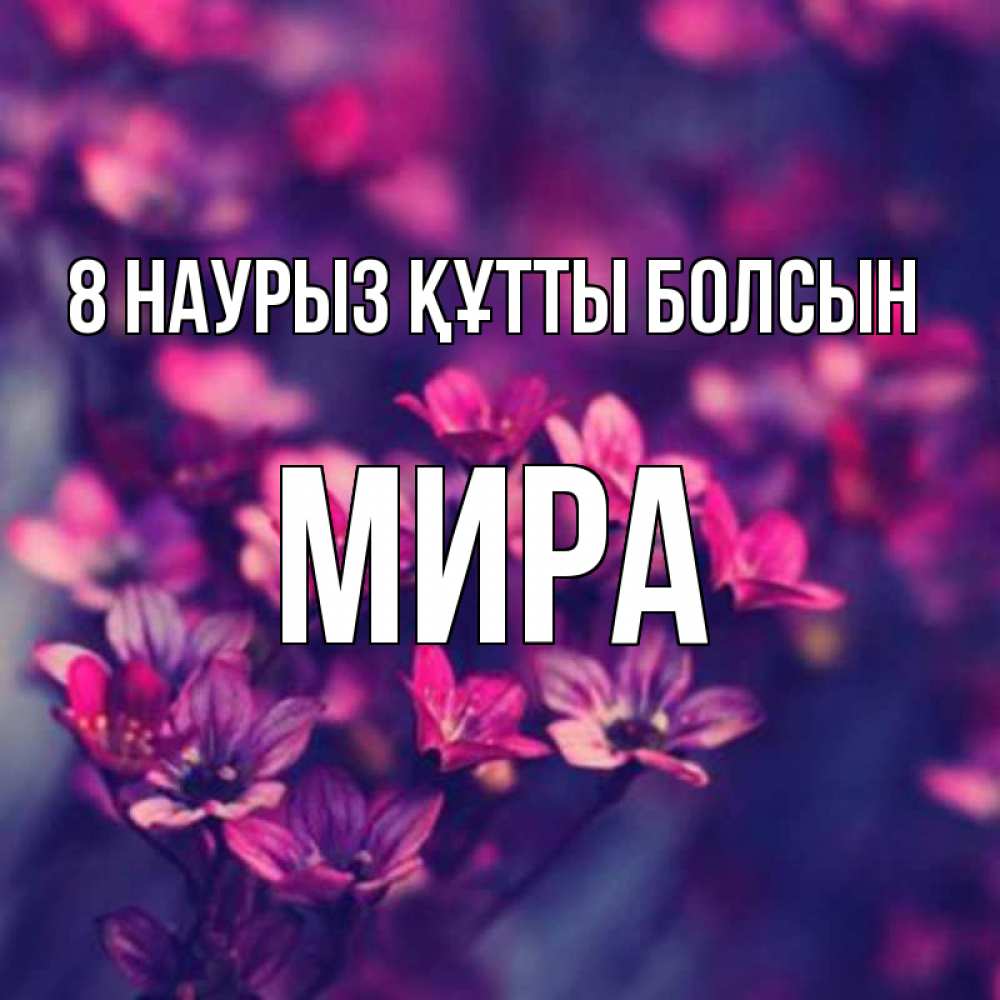 Күн сайын ашық хат с именем, МИРА 8 наурыз құтты болсын небольшие цветы 1 Онлайн тегін жүктеп алу тілектері бар керемет карта 