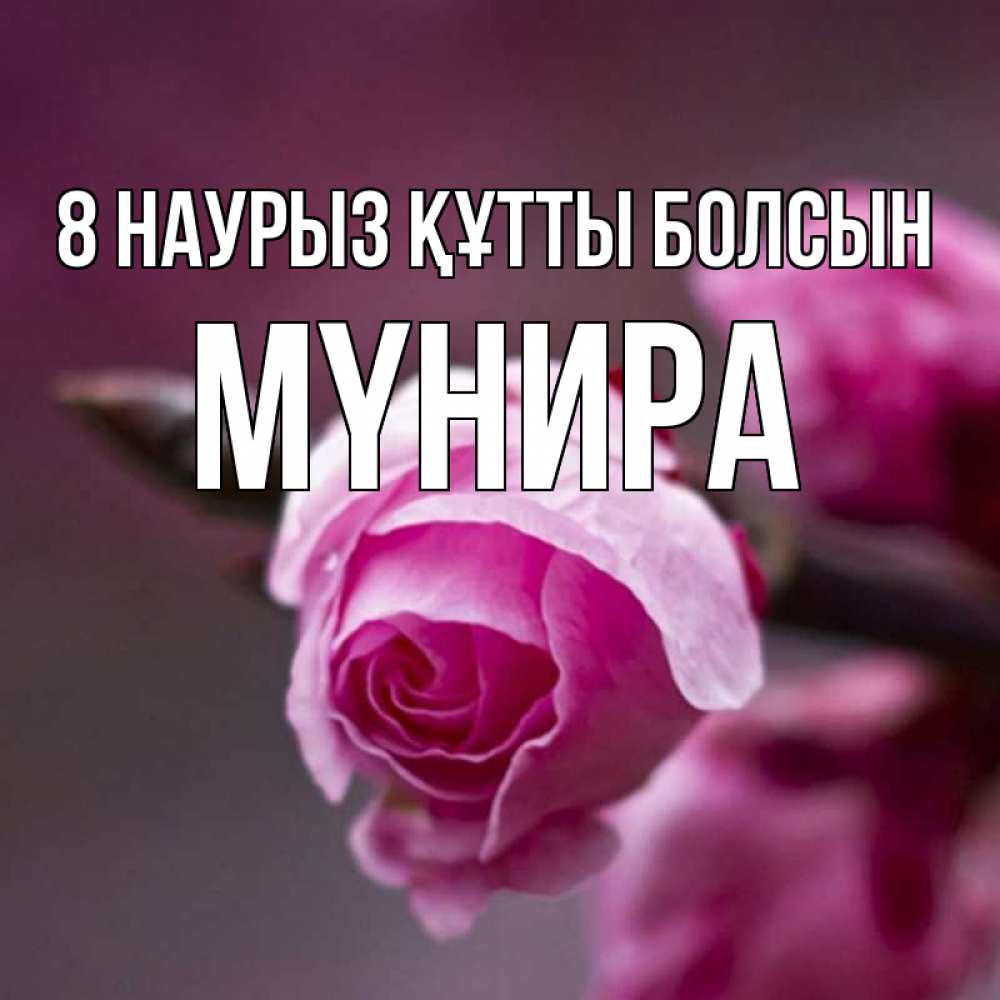 Күн сайын ашық хат с именем, МҮНИРА 8 наурыз құтты болсын весна Онлайн тегін жүктеп алу тілектері бар керемет карта 