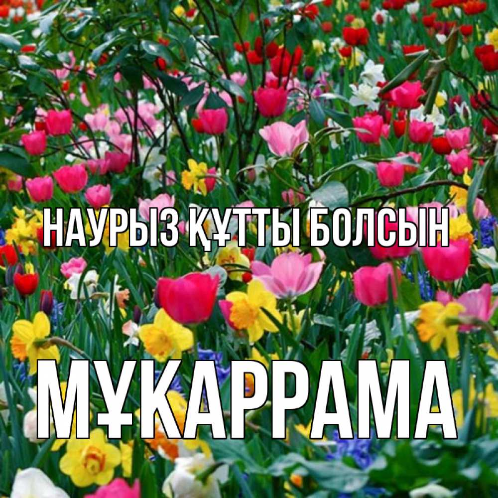 Күн сайын ашық хат с именем, МҰКАРРАМА Наурыз құтты болсын с наурызом поздравления для женщины Онлайн тегін жүктеп алу тілектері бар керемет карта 