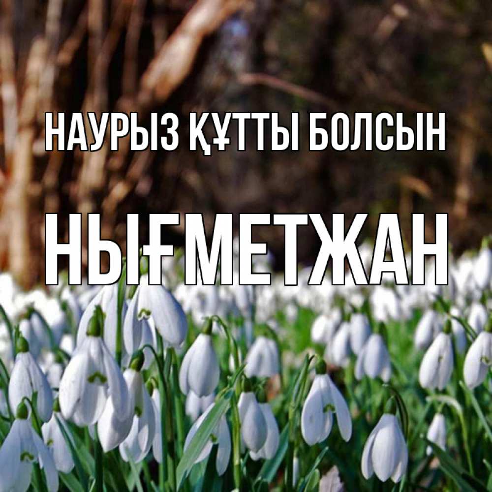 Күн сайын ашық хат с именем, НЫҒМЕТЖАН Наурыз құтты болсын с подснежниками 1 Онлайн тегін жүктеп алу тілектері бар керемет карта 