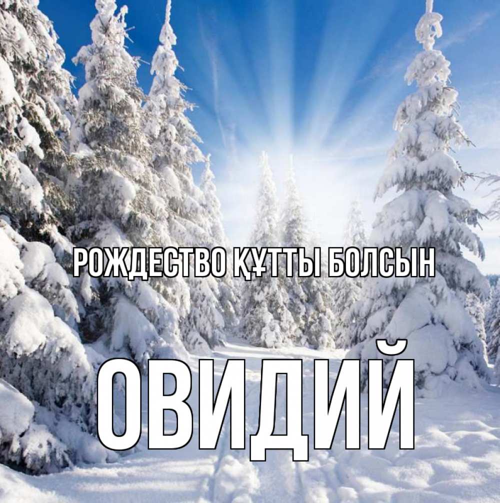Күн сайын ашық хат с именем, Овидий Рождество құтты болсын зима, лес Онлайн тегін жүктеп алу тілектері бар керемет карта 