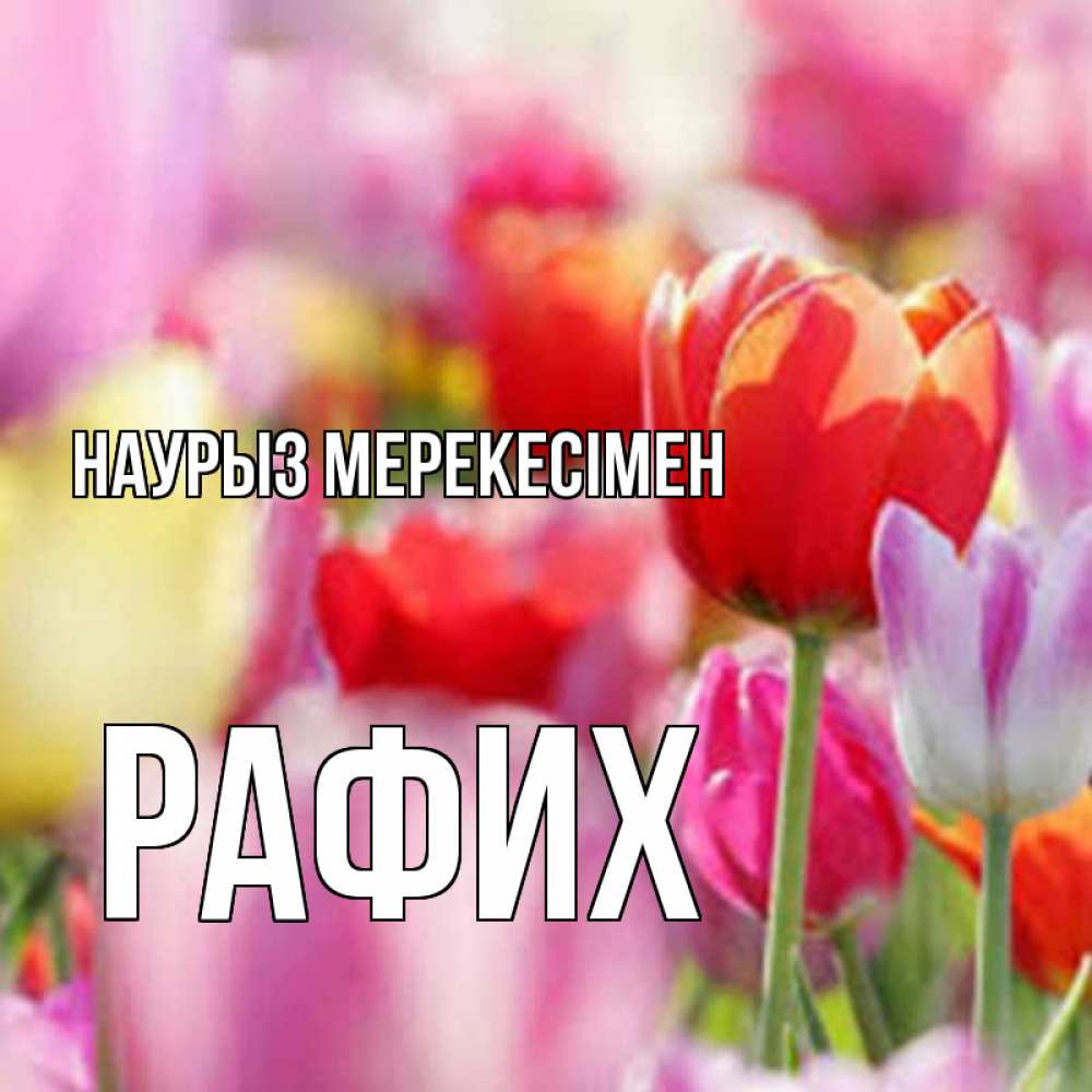 Күн сайын ашық хат с именем, РАФИХ Наурыз мерекесімен праздник весны наурыз 67 Онлайн тегін жүктеп алу тілектері бар керемет карта 
