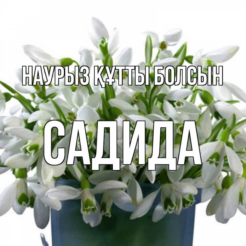 Күн сайын ашық хат с именем, САДИДА Наурыз құтты болсын цветы к наурызу Онлайн тегін жүктеп алу тілектері бар керемет карта 