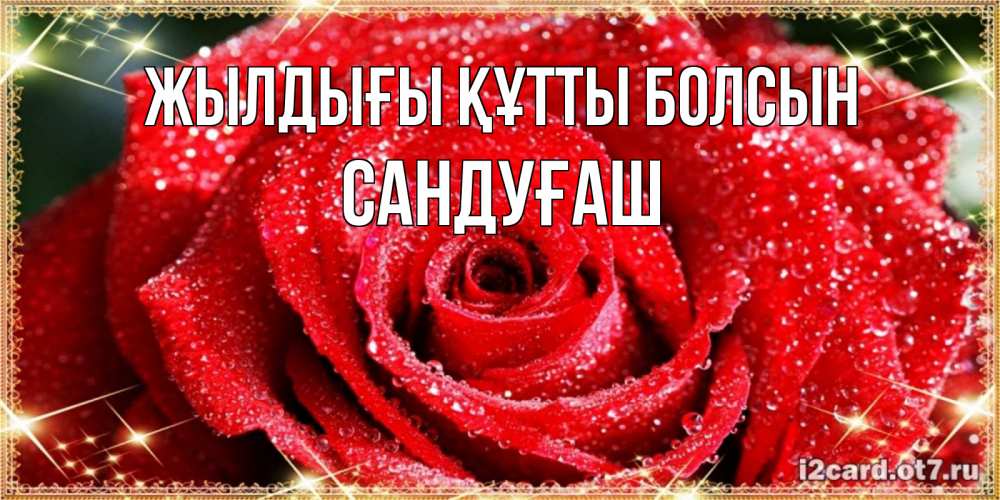Күн сайын ашық хат с именем, САНДУҒАШ Жылдығы құтты болсын роса и роза. открытка с красивой розой Онлайн тегін жүктеп алу тілектері бар керемет карта 