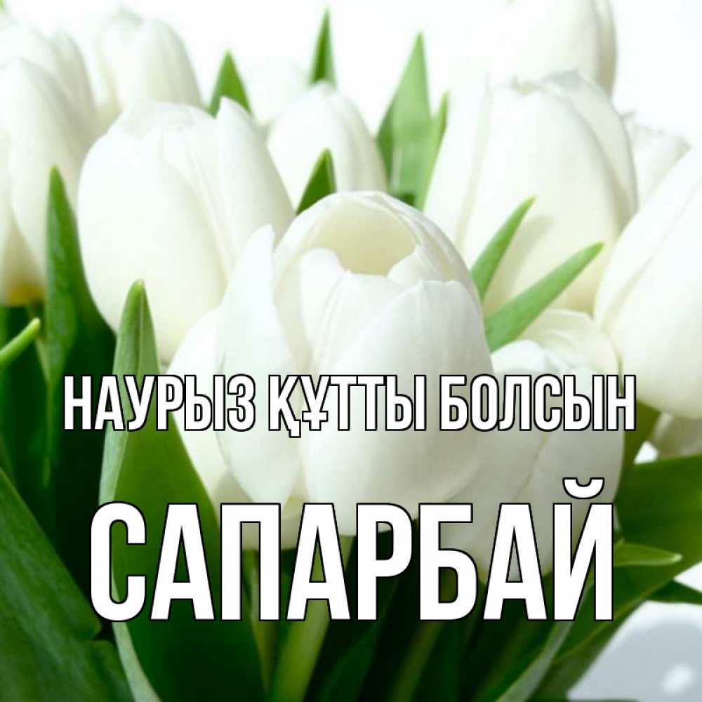 Күн сайын ашық хат с именем, САПАРБАЙ Наурыз құтты болсын цветы Онлайн тегін жүктеп алу тілектері бар керемет карта 