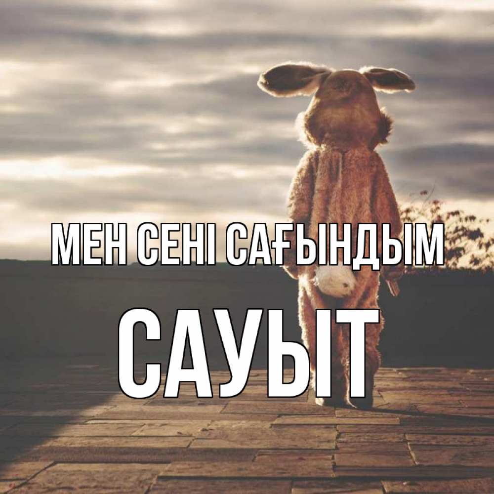 Күн сайын ашық хат с именем, САУЫТ Мен сені сағындым даже в костюме зайца Онлайн тегін жүктеп алу тілектері бар керемет карта 