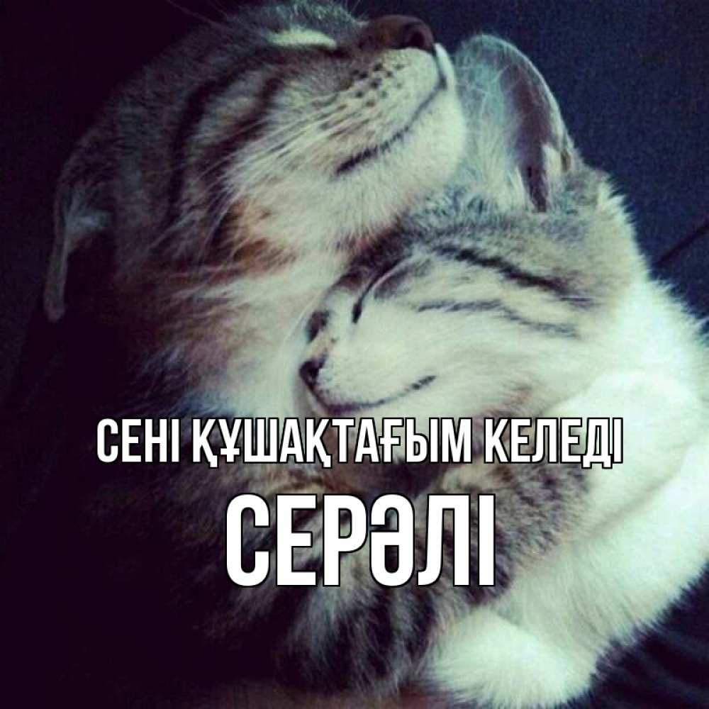 Күн сайын ашық хат с именем, СЕРӘЛІ сені құшақтағым келеді полосатики Онлайн тегін жүктеп алу тілектері бар керемет карта 