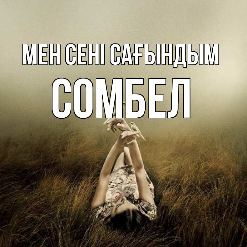 Күн сайын ашық хат с именем, СОМБЕЛ Мен сені сағындым девушка с голубями Онлайн тегін жүктеп алу тілектері бар керемет карта 
