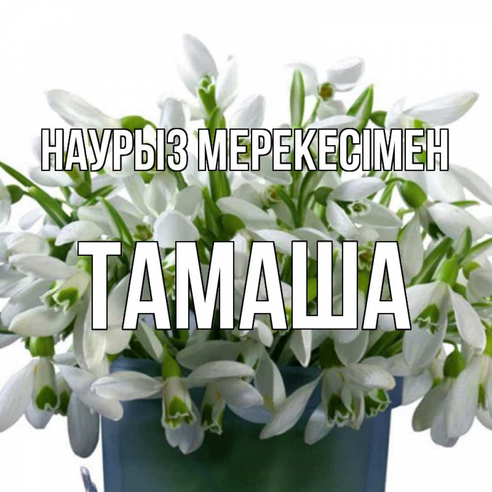 Күн сайын ашық хат с именем, ТАМАША Наурыз мерекесімен цветы к наурызу новый год в Казахстане Онлайн тегін жүктеп алу тілектері бар керемет карта 