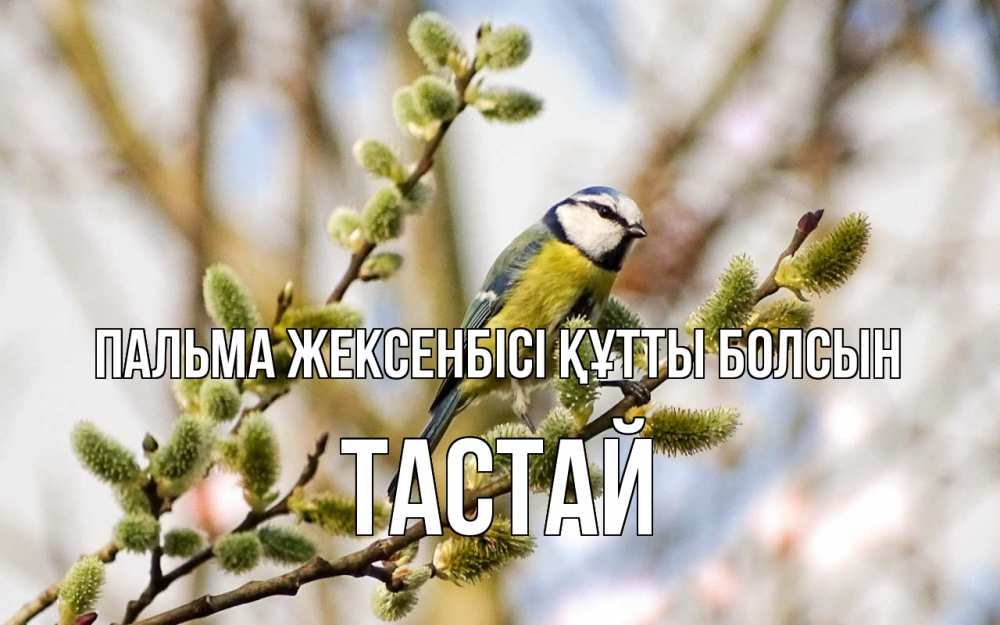 Күн сайын ашық хат с именем, ТАСТАЙ Пальма жексенбісі құтты болсын верба Онлайн тегін жүктеп алу тілектері бар керемет карта 