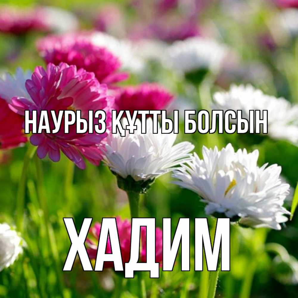 Күн сайын ашық хат с именем, ХАДИМ Наурыз құтты болсын наурыз Онлайн тегін жүктеп алу тілектері бар керемет карта 