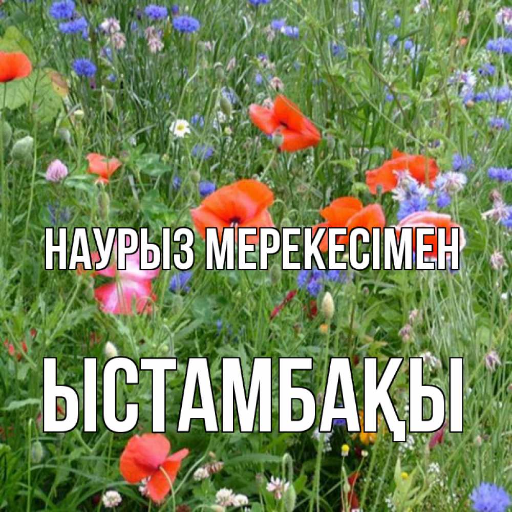 Күн сайын ашық хат с именем, ЫСТАМБАҚЫ Наурыз мерекесімен праздник весны наурыз супер открытка Онлайн тегін жүктеп алу тілектері бар керемет карта 