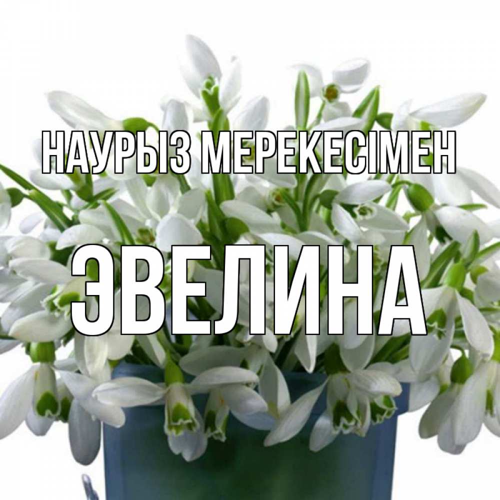 Күн сайын ашық хат с именем, Эвелина Наурыз мерекесімен цветы к наурызу новый год в Казахстане Онлайн тегін жүктеп алу тілектері бар керемет карта 