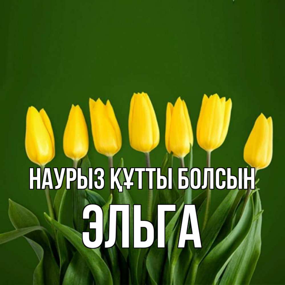 Күн сайын ашық хат с именем, Эльга Наурыз құтты болсын желтого цвета 3 Онлайн тегін жүктеп алу тілектері бар керемет карта 