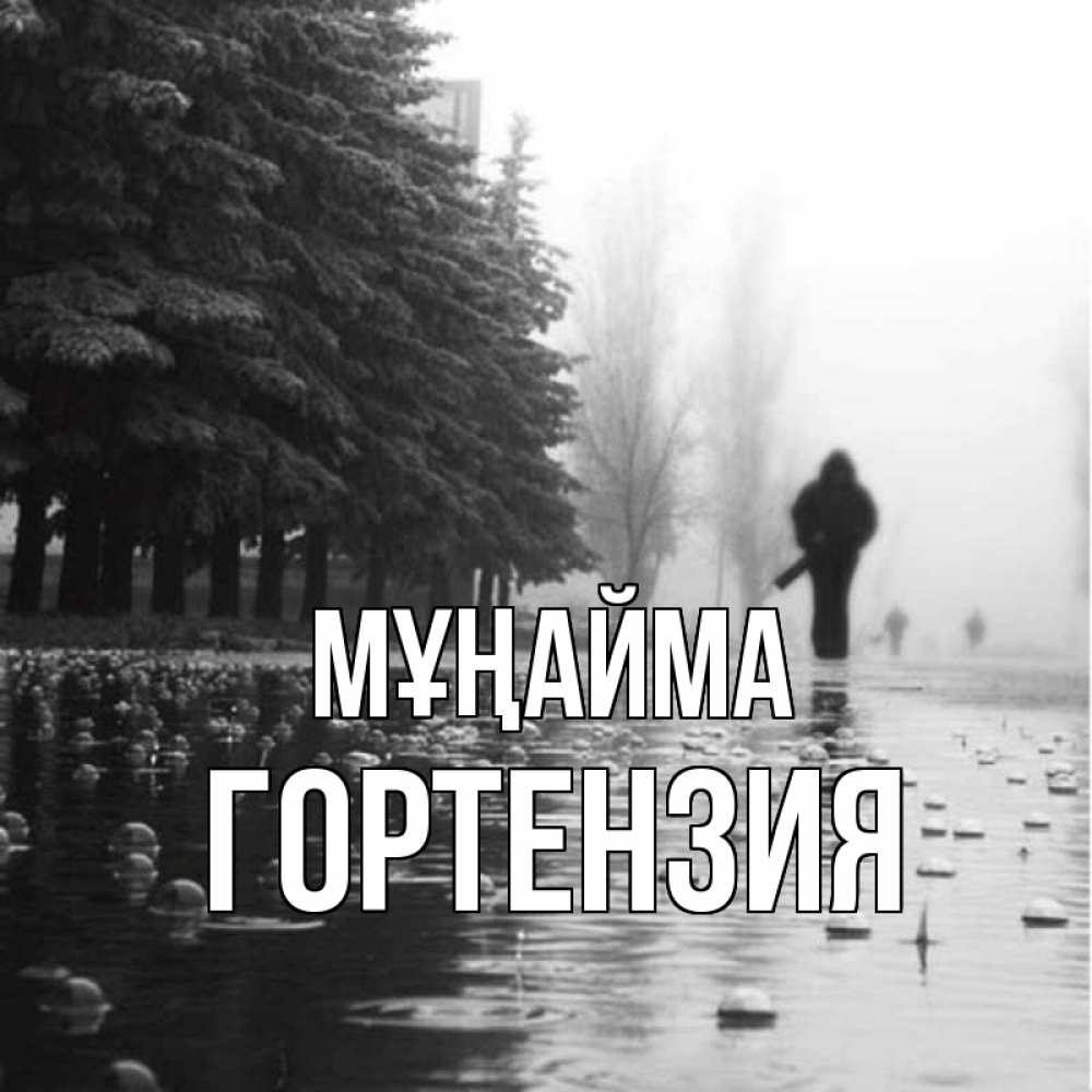 Күн сайын ашық хат с именем, Гортензия Мұңайма улица под дождем Онлайн тегін жүктеп алу тілектері бар керемет карта 