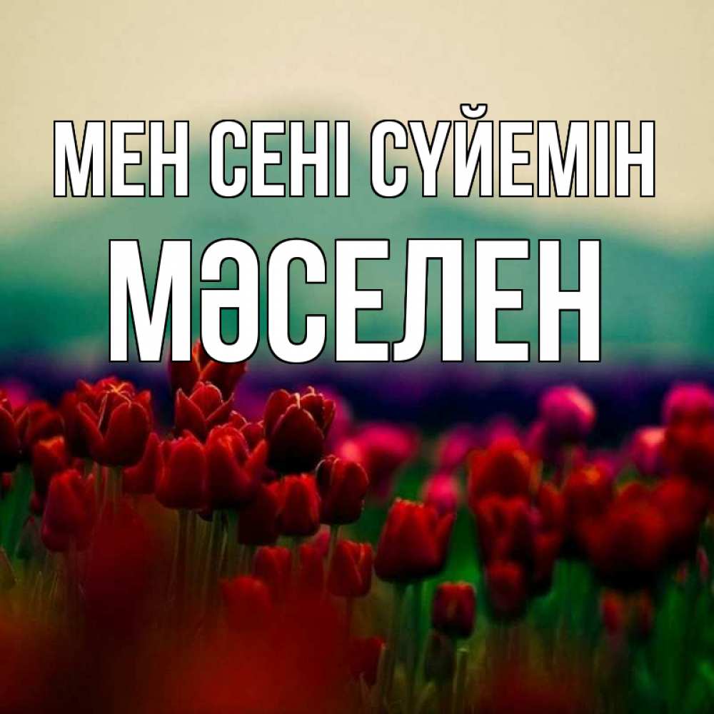 Күн сайын ашық хат с именем, Мәселен Мен сені сүйемін тюльпаны 4 Онлайн тегін жүктеп алу тілектері бар керемет карта 