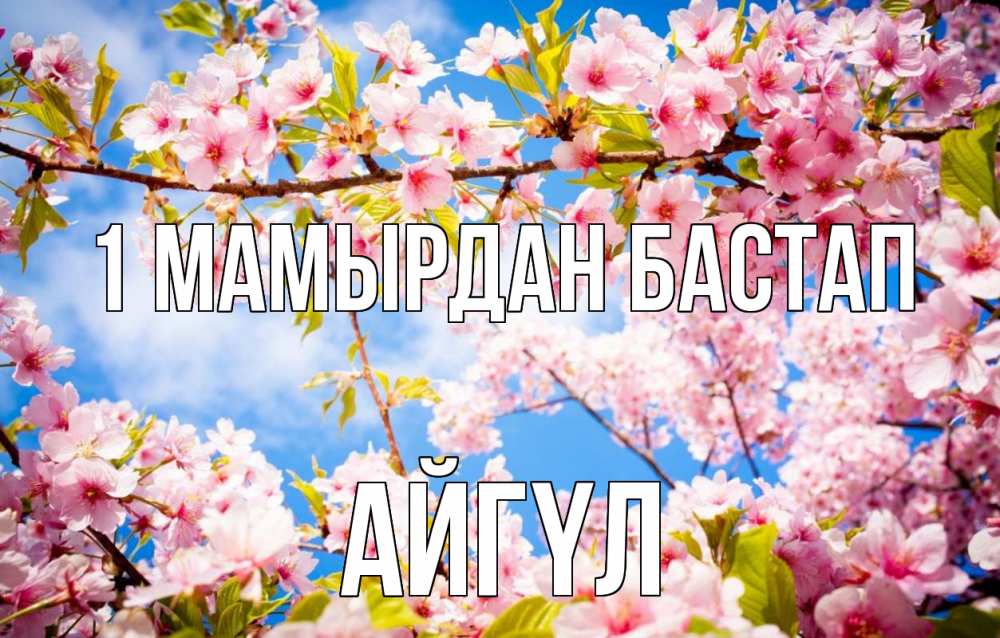 Күн сайын ашық хат с именем, АЙГҮЛ 1 мамырдан бастап С 1 мая Онлайн тегін жүктеп алу тілектері бар керемет карта 