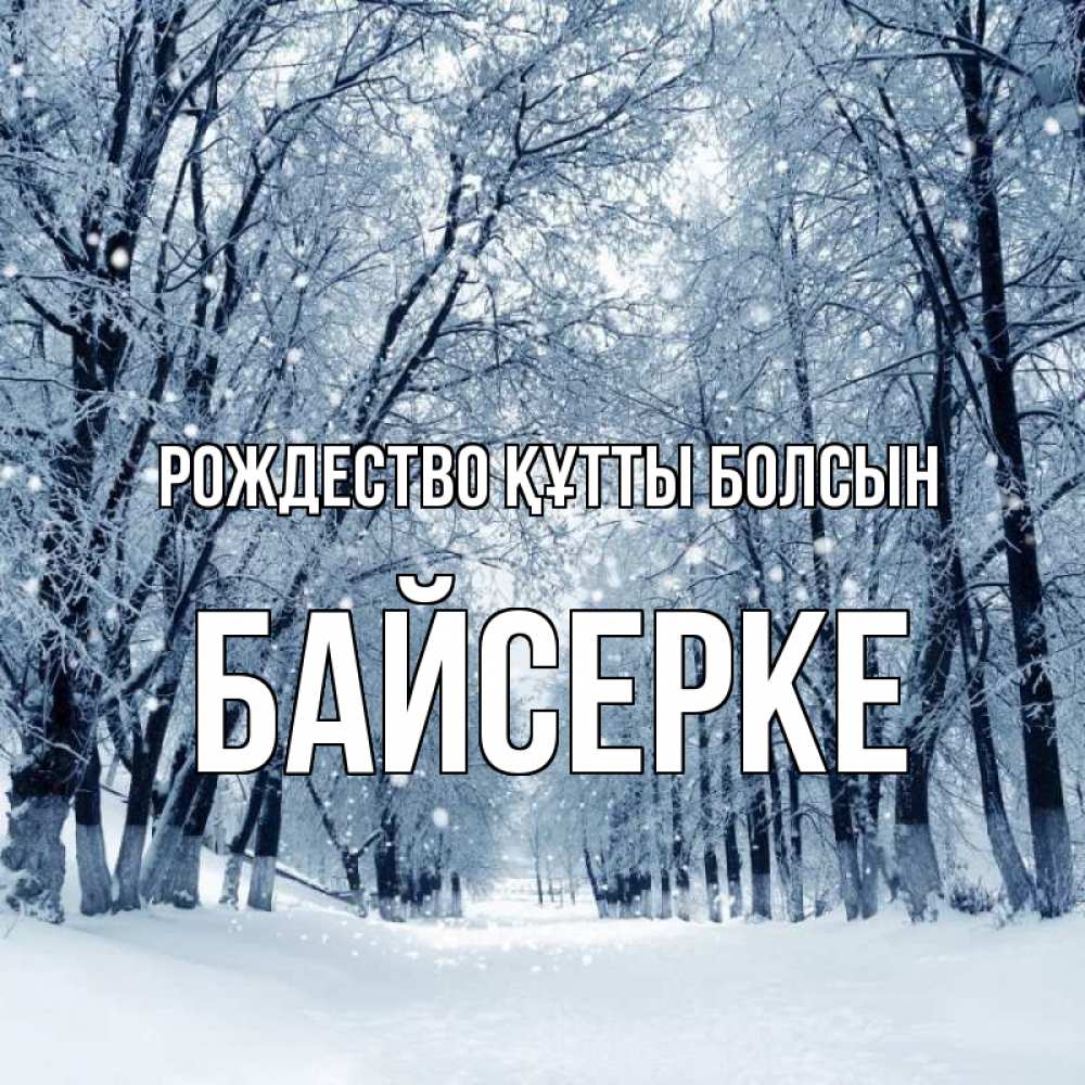 Күн сайын ашық хат с именем, Байсерке Рождество құтты болсын снег, лес, парк Онлайн тегін жүктеп алу тілектері бар керемет карта 