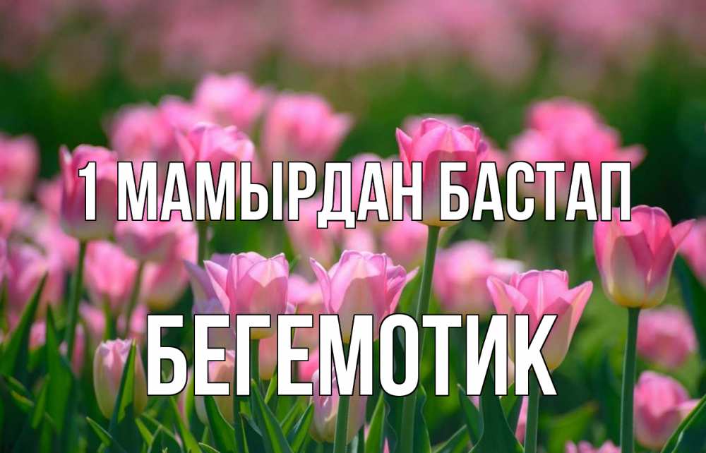 Күн сайын ашық хат с именем, Бегемотик 1 мамырдан бастап С 1 мая Онлайн тегін жүктеп алу тілектері бар керемет карта 