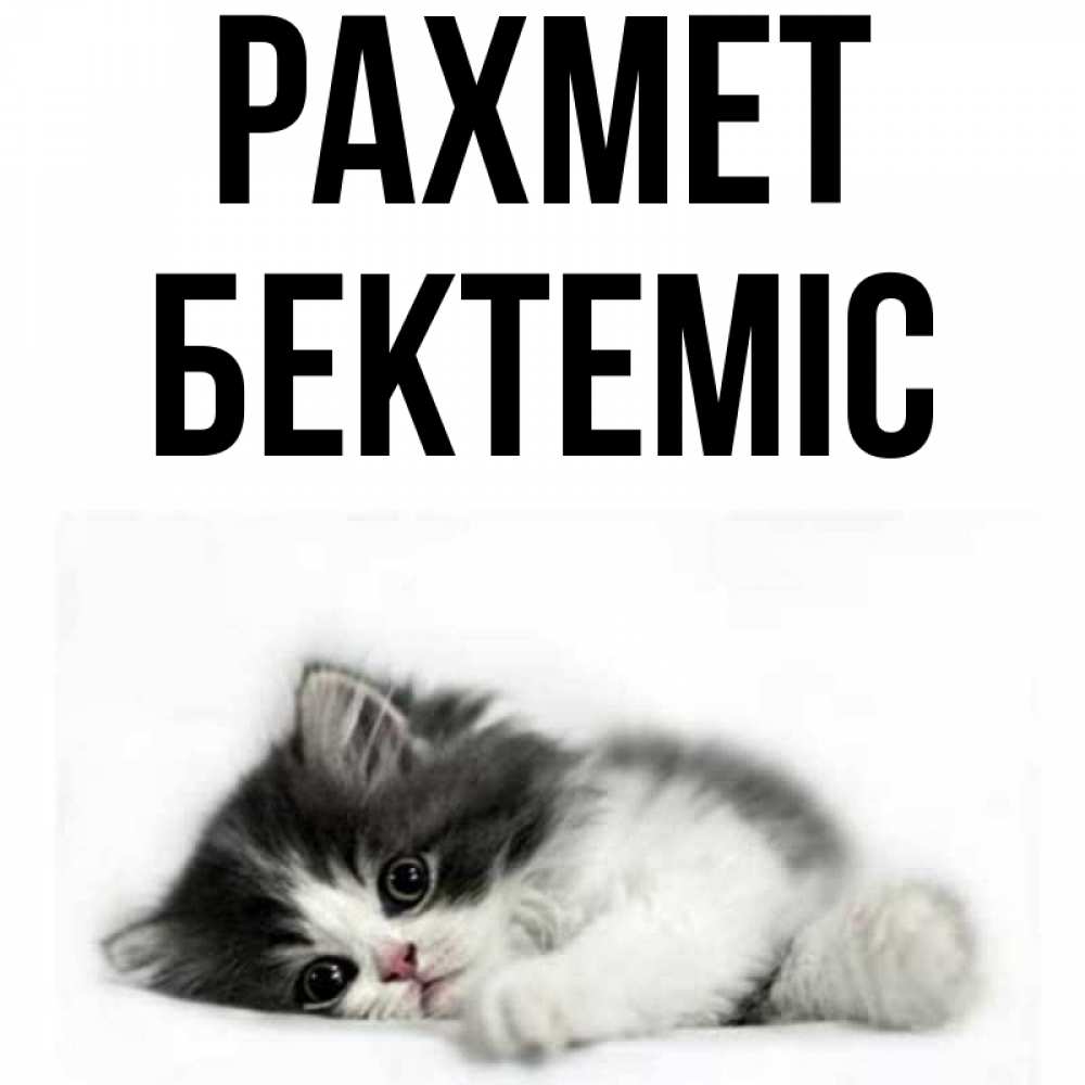 Күн сайын ашық хат с именем, Бектеміс рахмет черный и белый кот Онлайн тегін жүктеп алу тілектері бар керемет карта 