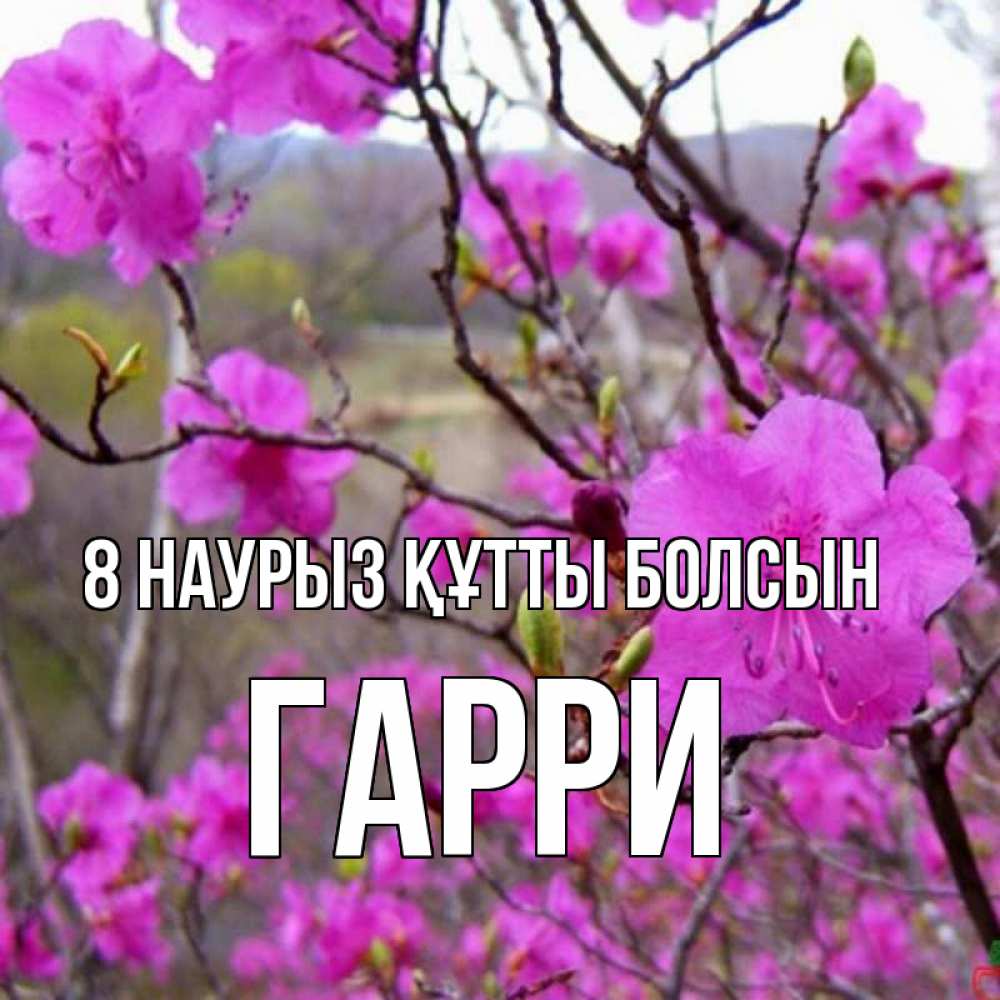 Күн сайын ашық хат с именем, Гарри 8 наурыз құтты болсын международный женский день Онлайн тегін жүктеп алу тілектері бар керемет карта 