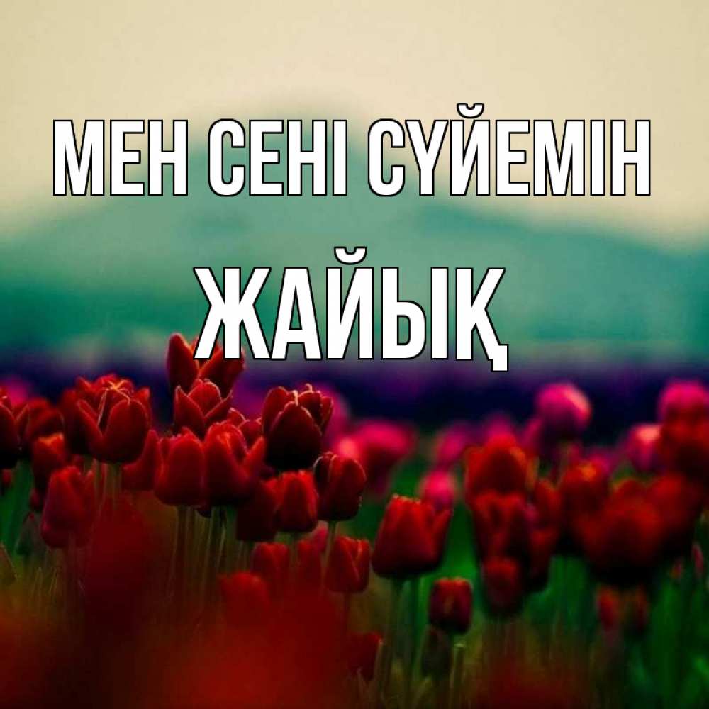 Күн сайын ашық хат с именем, Жайық Мен сені сүйемін тюльпаны 4 Онлайн тегін жүктеп алу тілектері бар керемет карта 