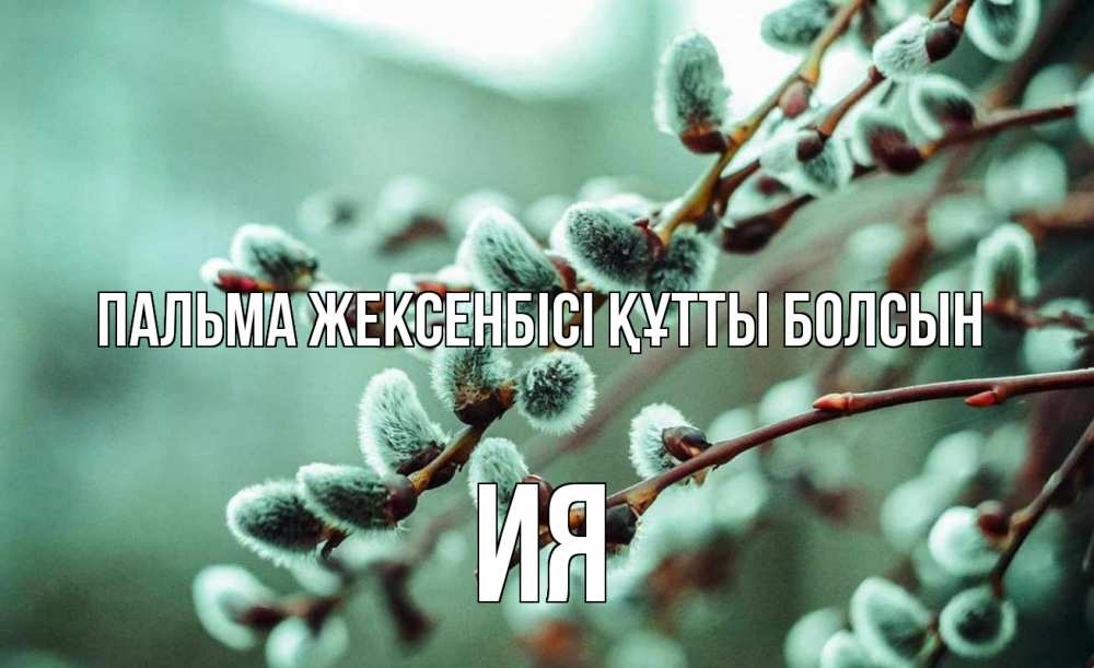 Күн сайын ашық хат с именем, Ия Пальма жексенбісі құтты болсын верба Онлайн тегін жүктеп алу тілектері бар керемет карта 
